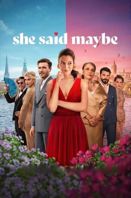 She Said Maybe - Memory Image