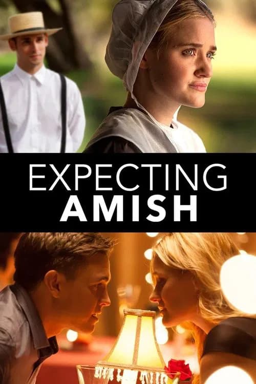 Expecting Amish - Cover