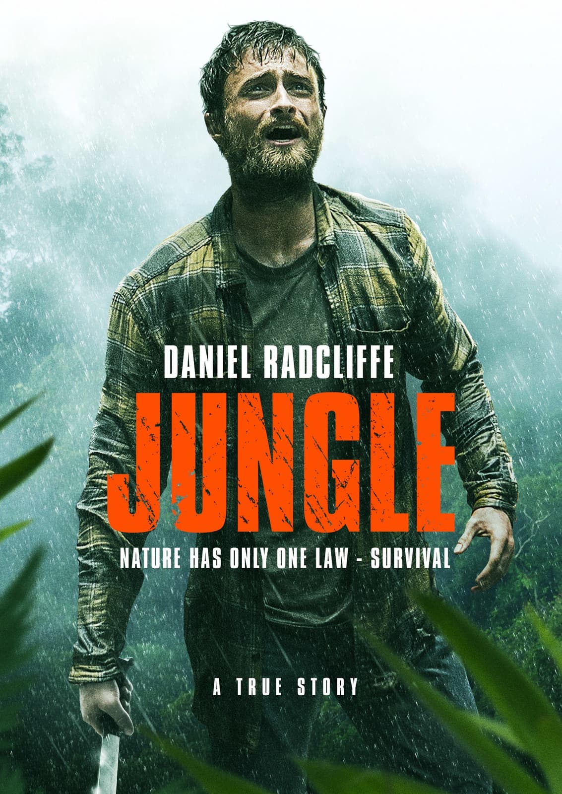 Jungle - Cover