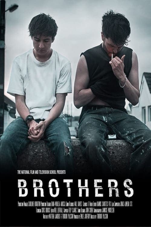 Brothers - Cover
