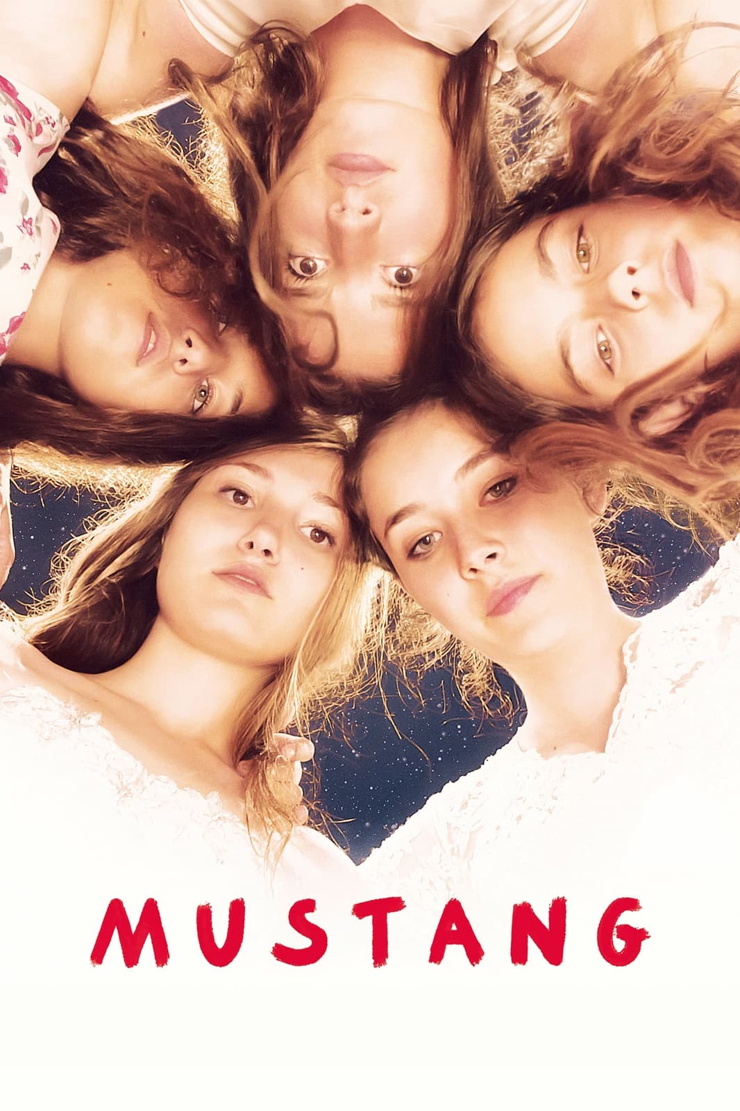 Mustang - Memory Image