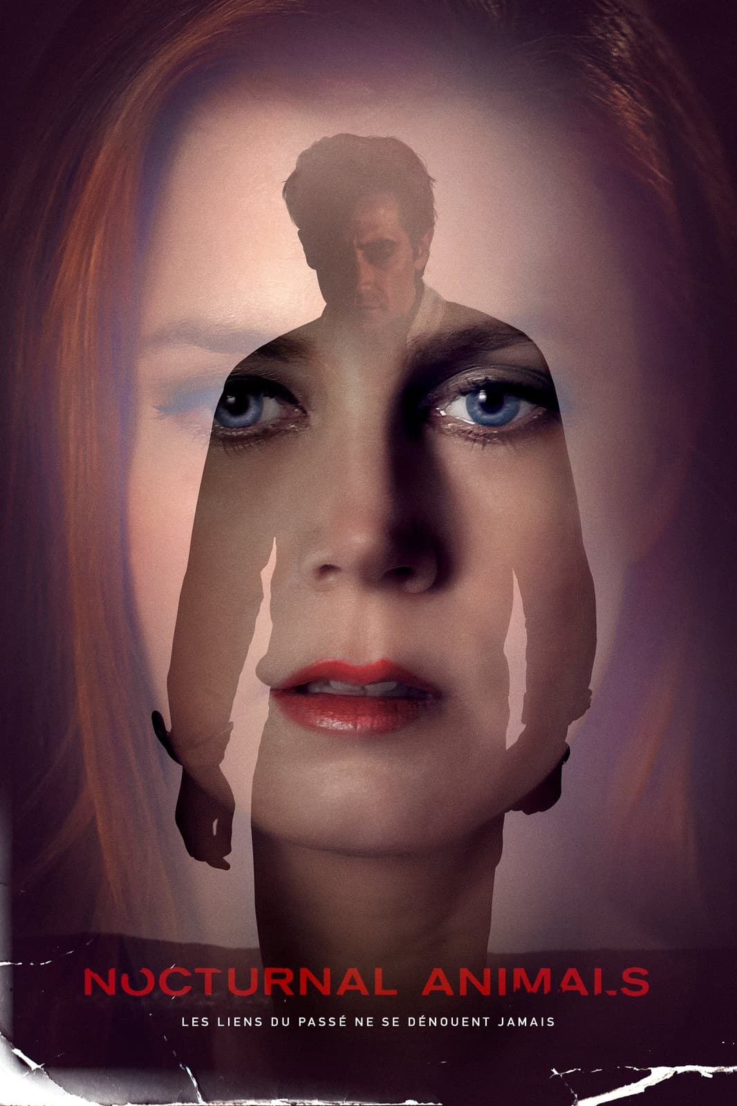 Nocturnal Animals - Memory Image