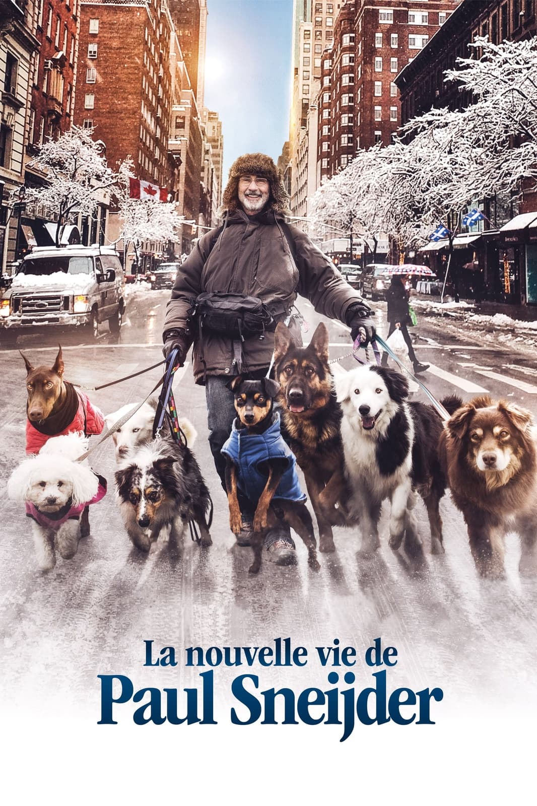 La nouvelle vie de Paul Sneijder