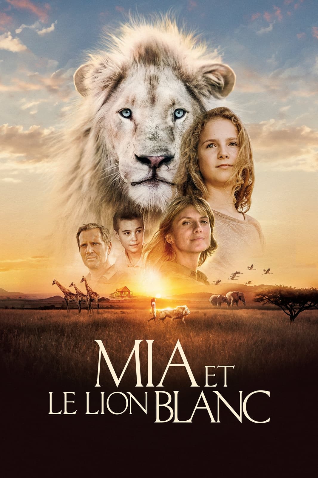 Mia et le Lion blanc - Memory Image
