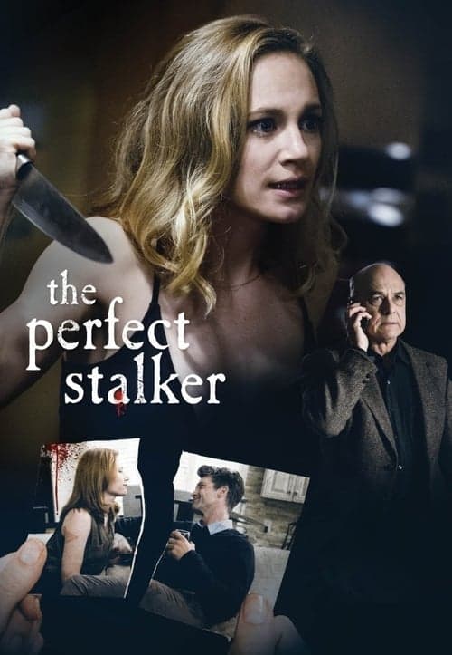 The Perfect Stalker - Cover