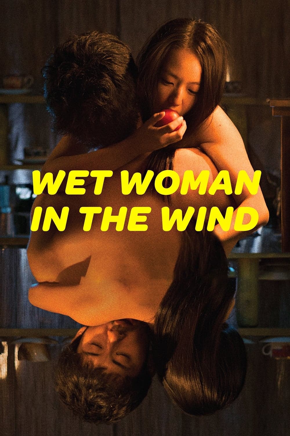 Wet Woman in the Wind - Cover
