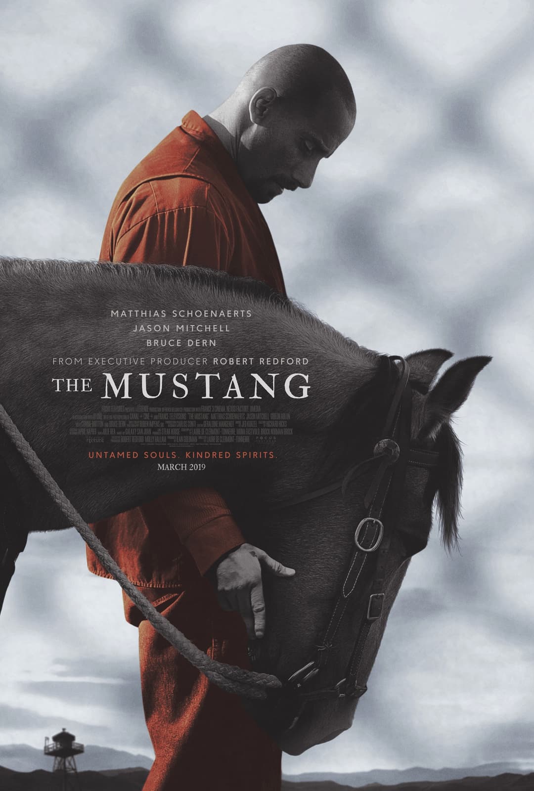 The Mustang - Cover