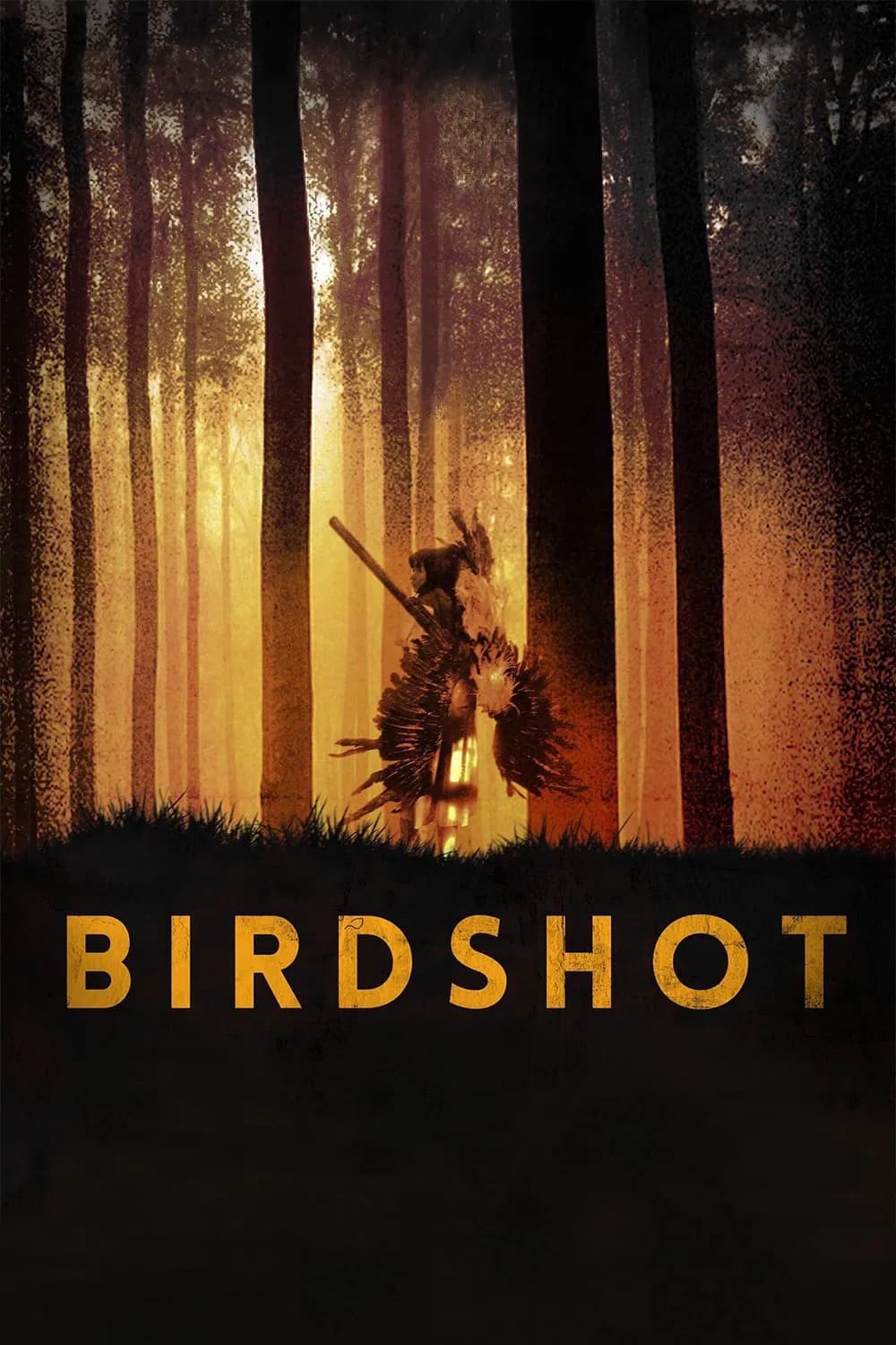Birdshot - Cover