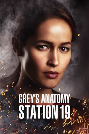 Station 19