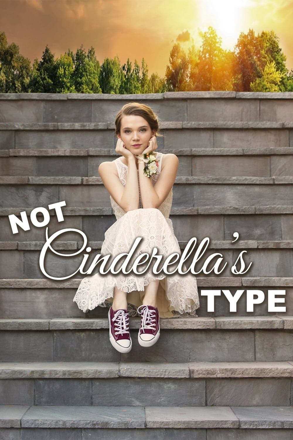 Not Cinderella's Type - Cover
