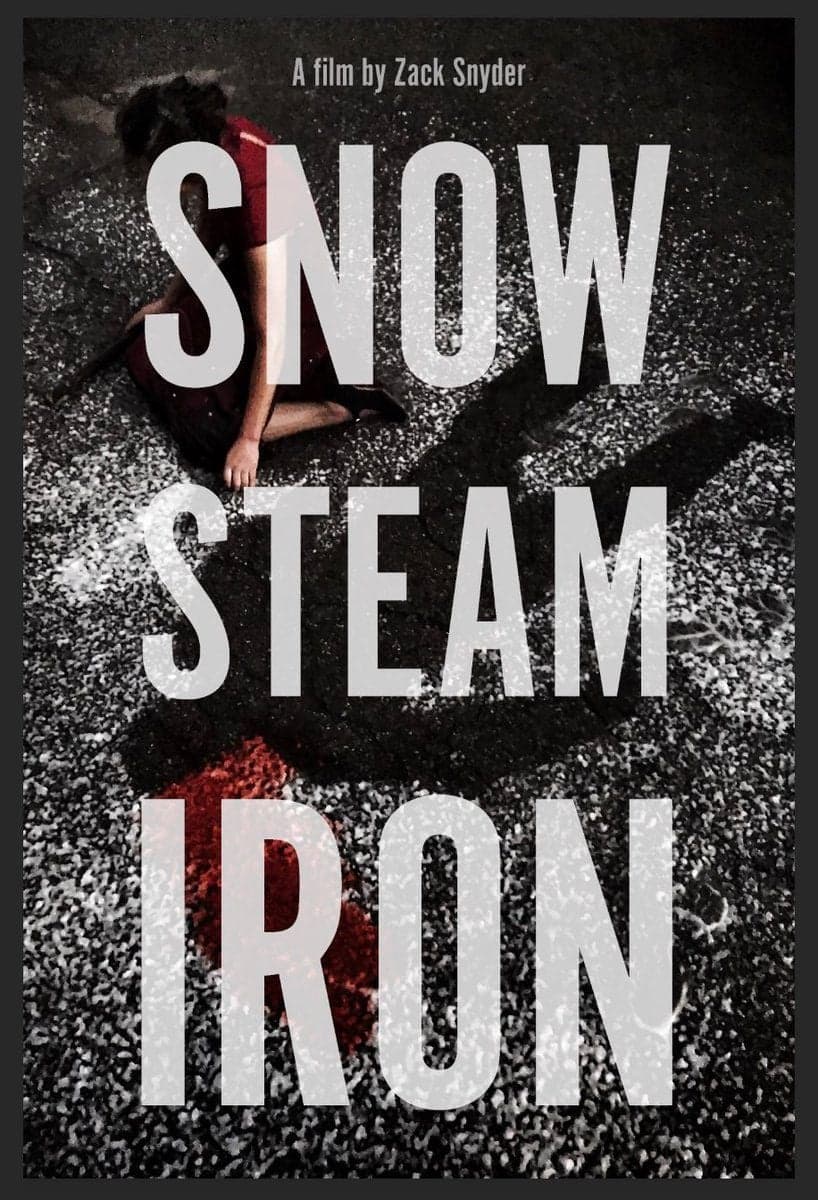 Snow Steam Iron - Cover