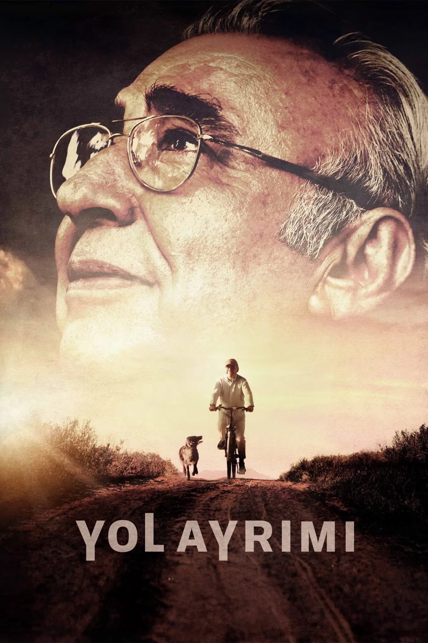 Yol Ayrimi
