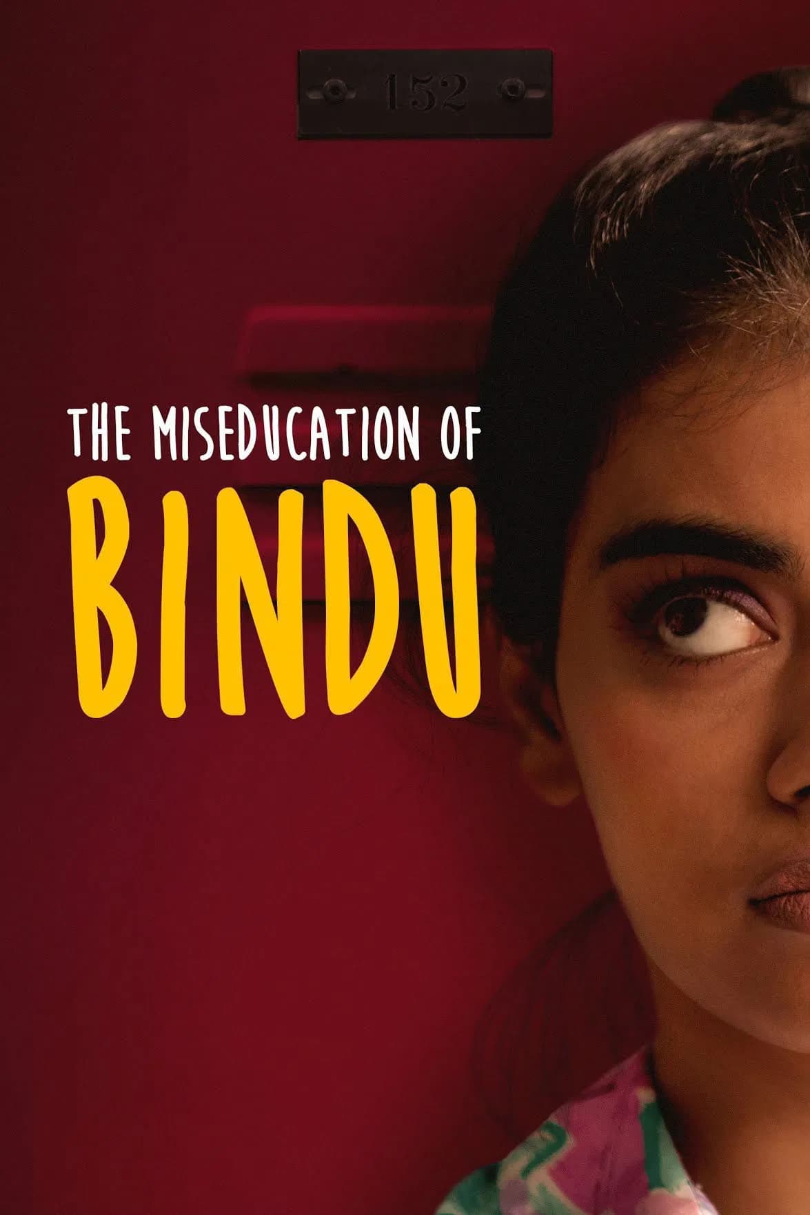 The Miseducation of Bindu - Cover