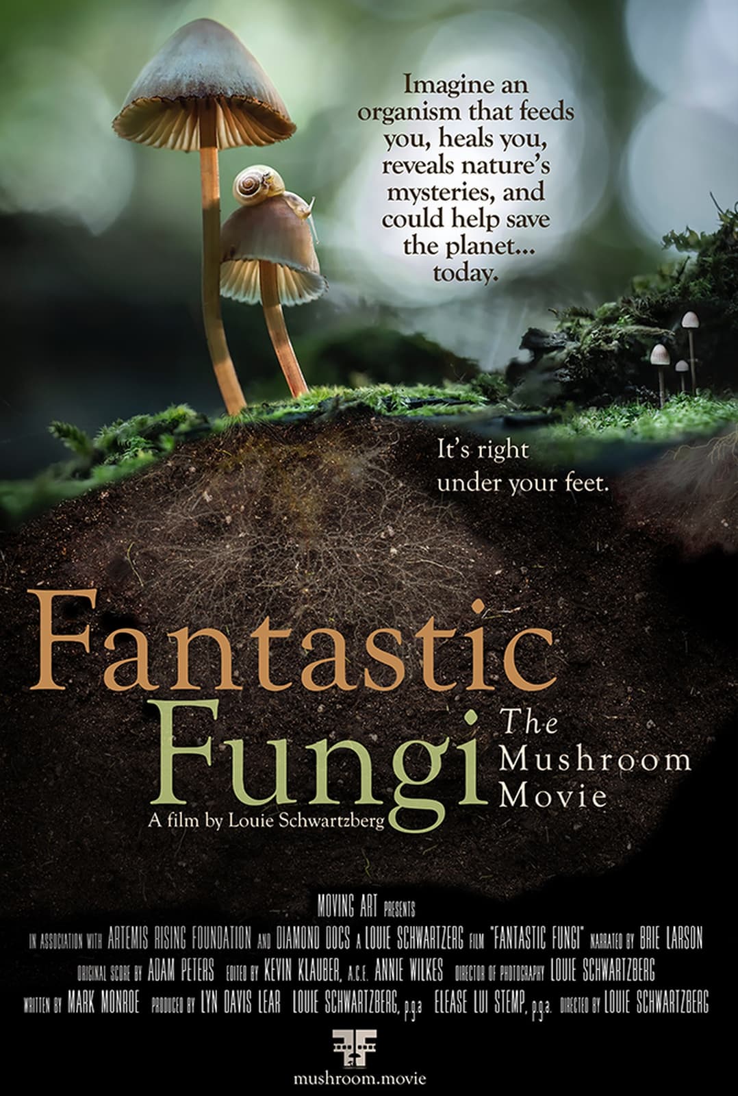 Fantastic Fungi - Cover