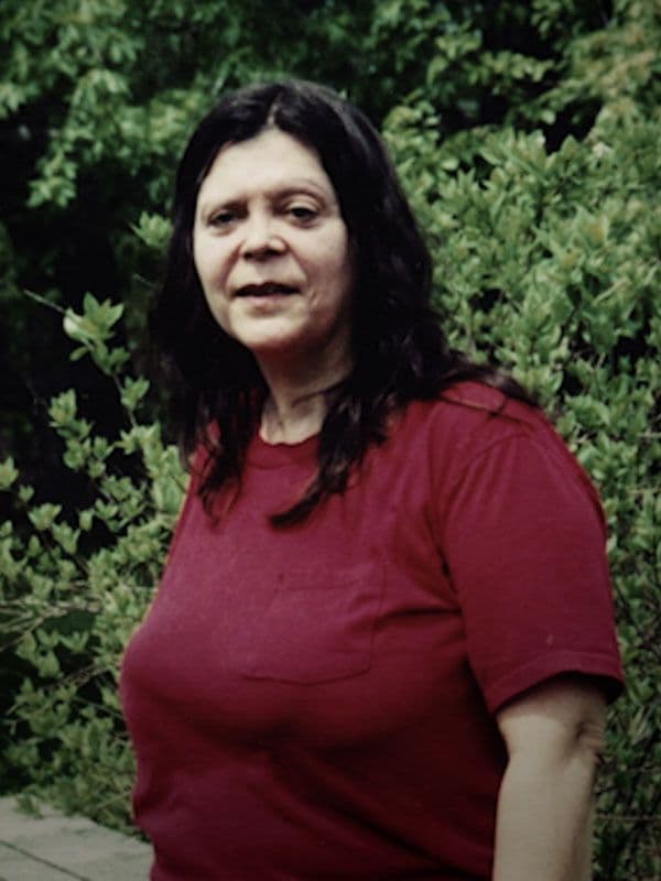 Les génies du mal - Cover