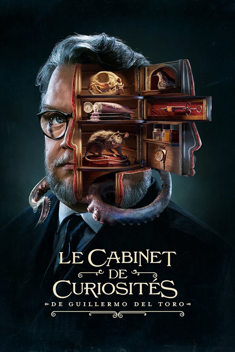 Le Cabinet de curiosités de Guillermo del Toro - Memory Image