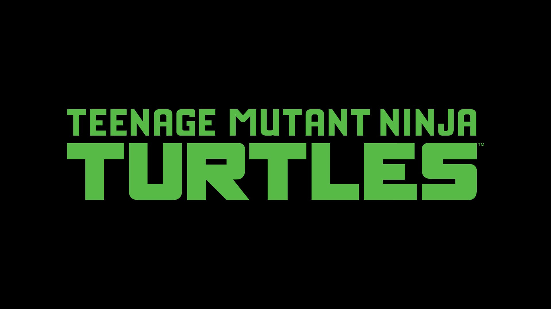 Teenage Mutant Ninja Turtles: The Next Chapter