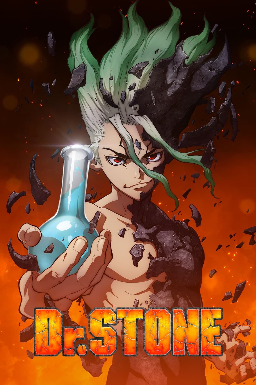 Dr. Stone - Memory Image