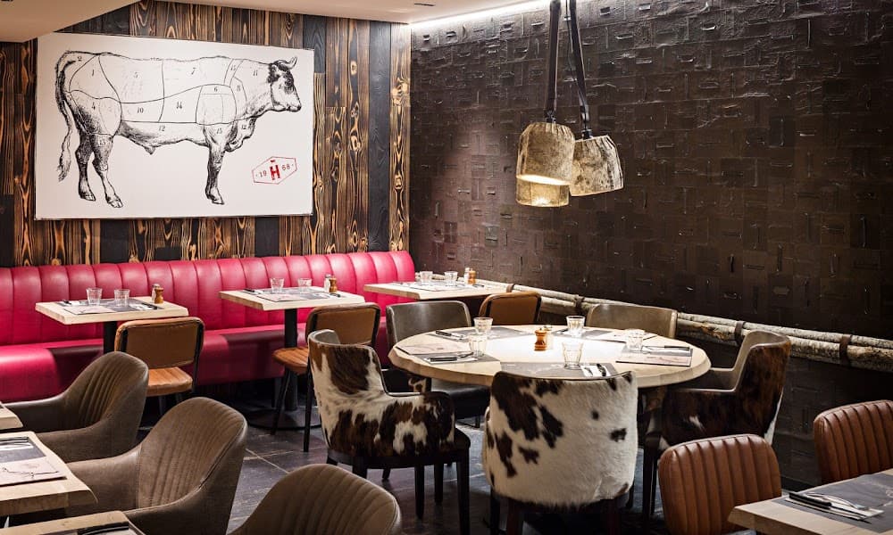 Hippopotamus - Cover