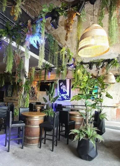 Les voutes Virgo de la Major - Cover