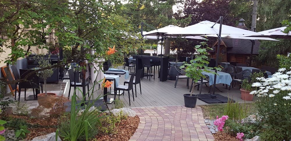 Musculus Martine - Cover