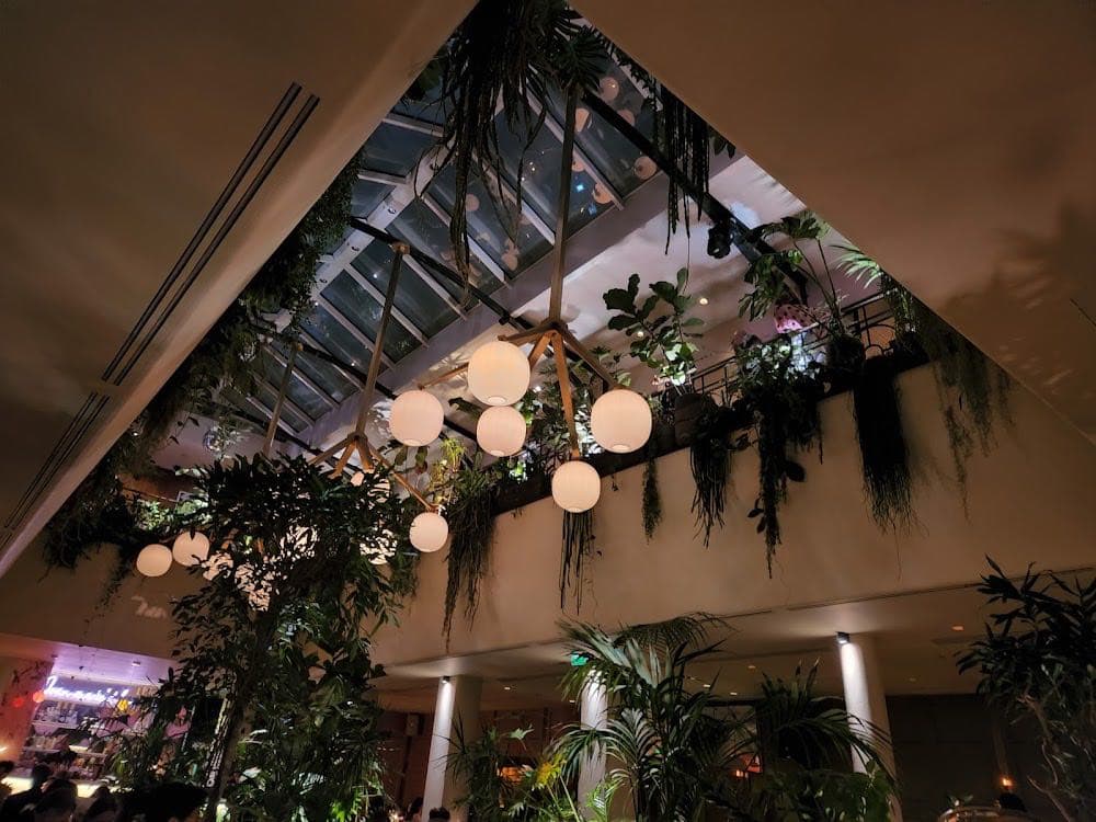 Terrasse de l'Alcazar - Cover