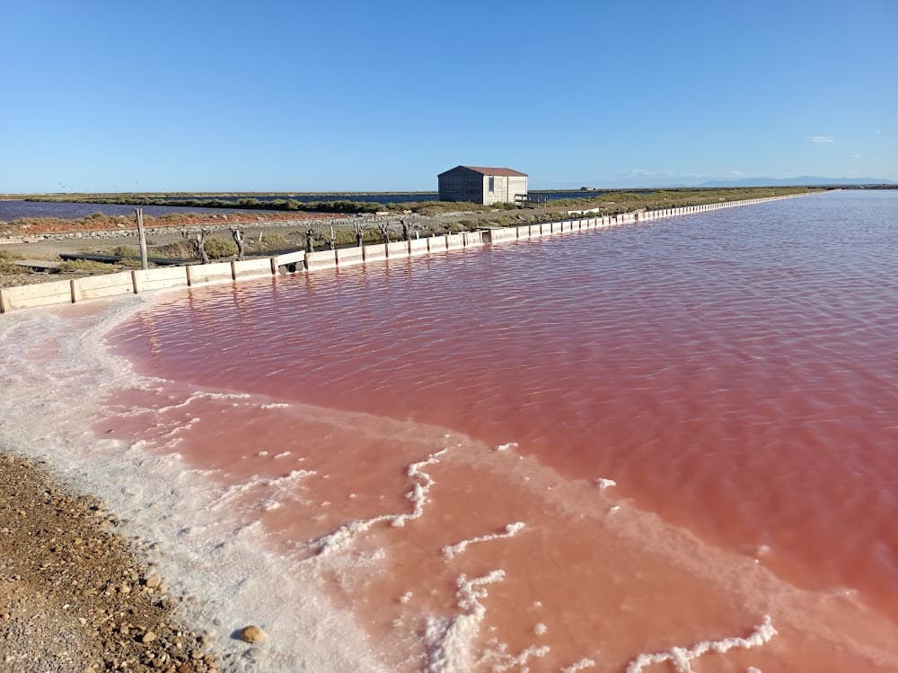 Le Salin de l'île Saint-Martin de Gruissan - Cover