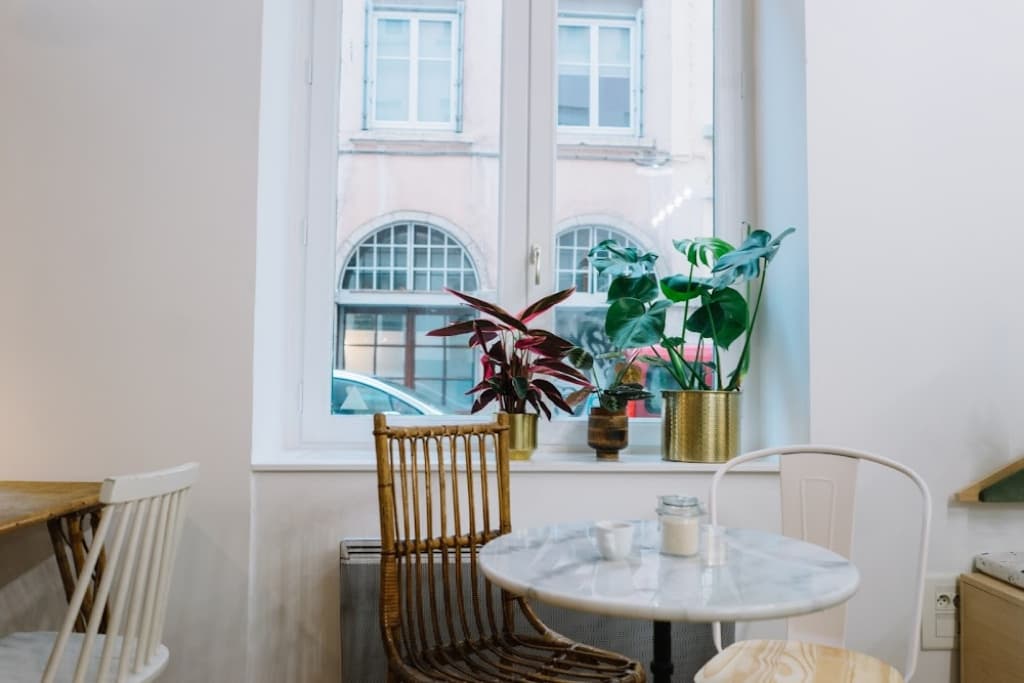 Comptoir Sauvage - Cover