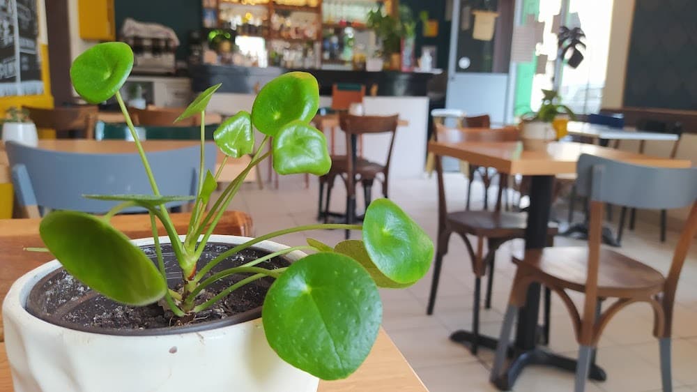 La Tamtamerie - Restaurant /Bar Villeurbanne - Cover