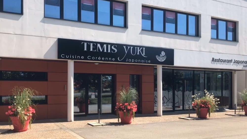 Temis Yuki - Cover