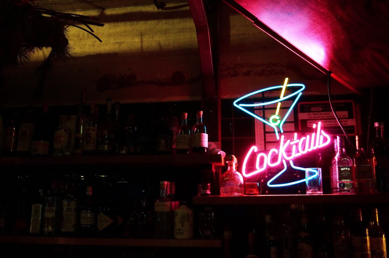 The Lacustre - Cover