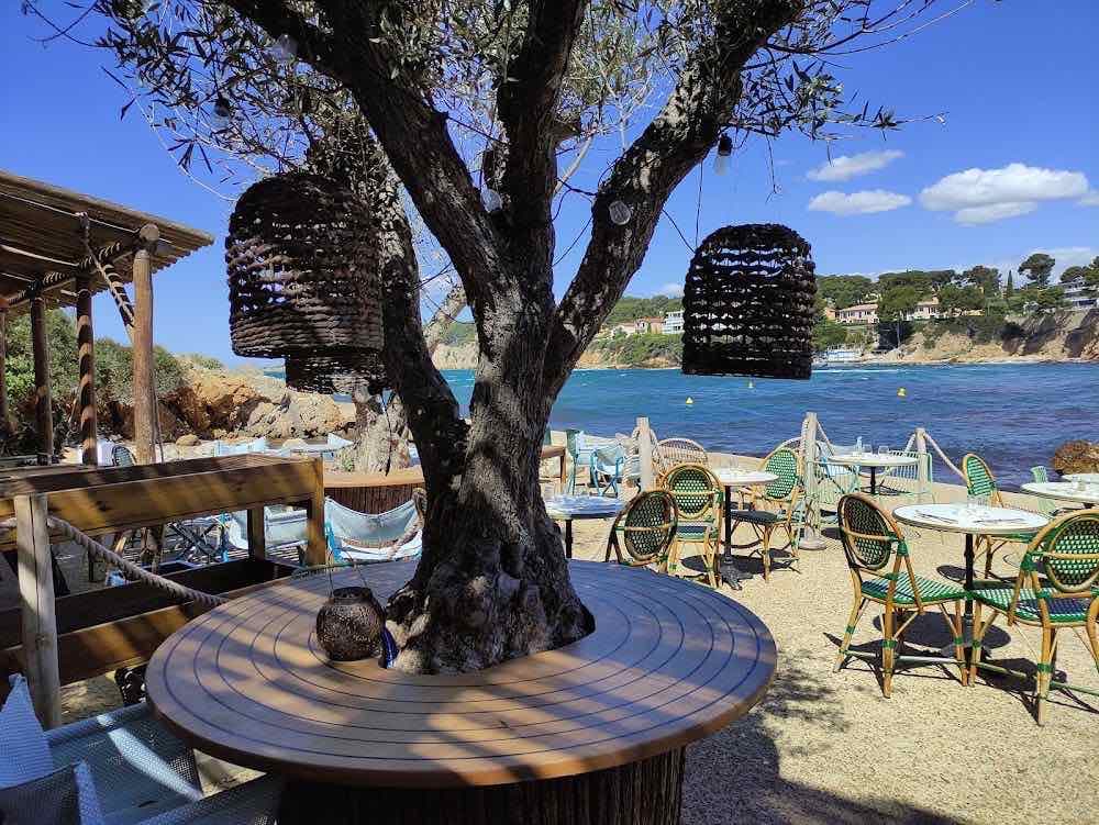 Ô Petit Monde - Cover