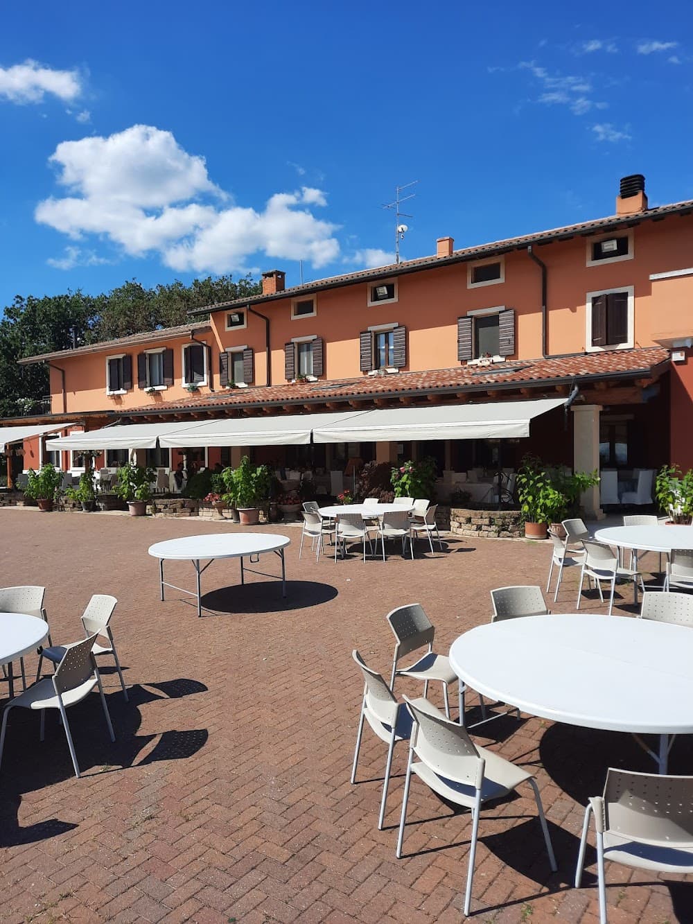 Trattoria La Cola di Cipriani Francesca - Cover