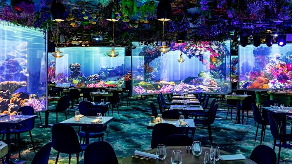 Under the Sea - Cover