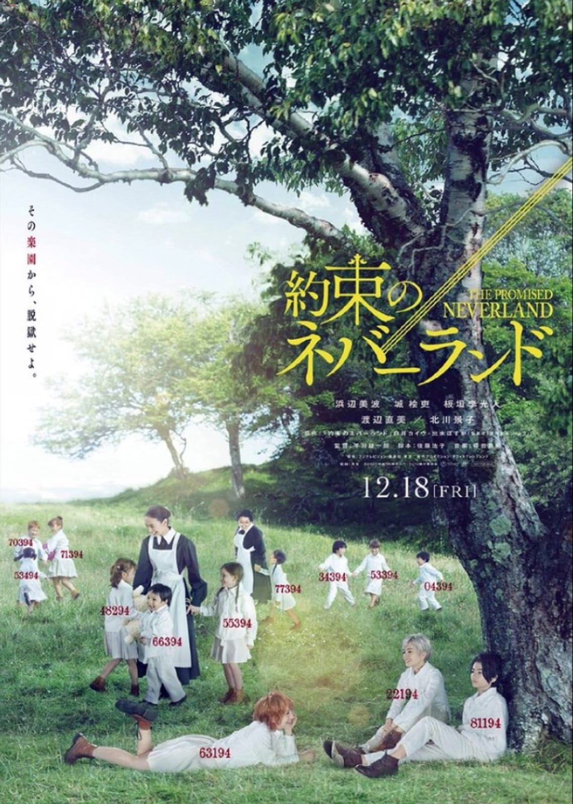 Memory Image