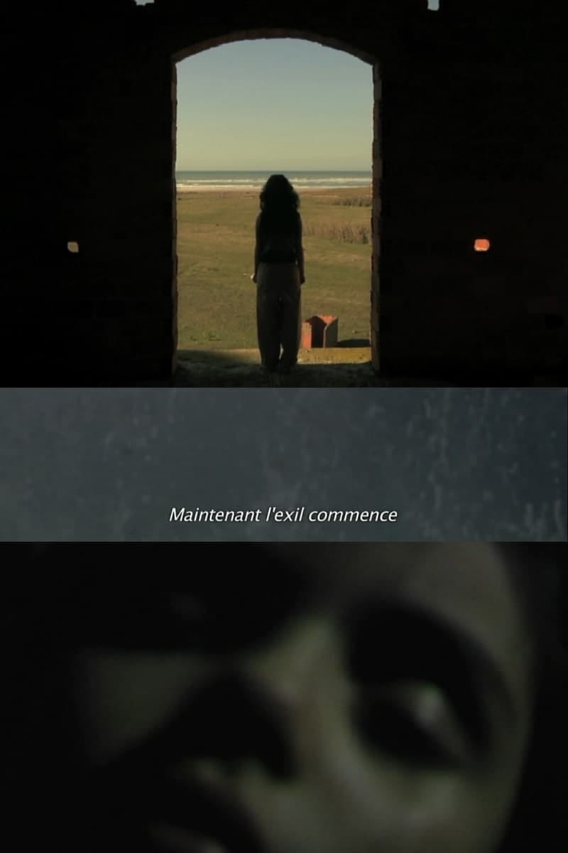 Memory Image