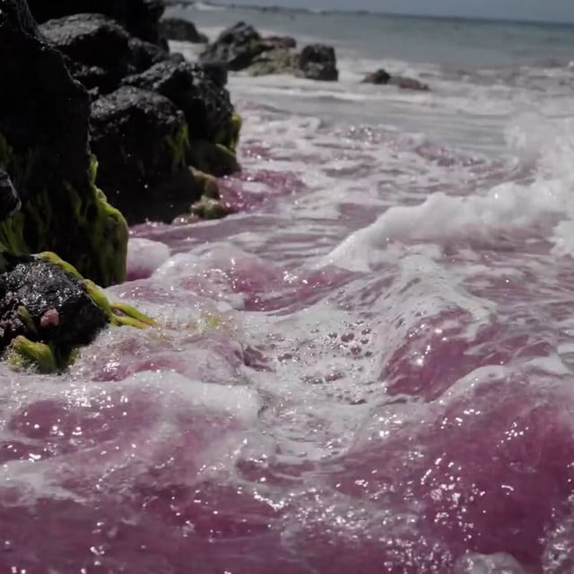 Not So Virgo of You - Cover