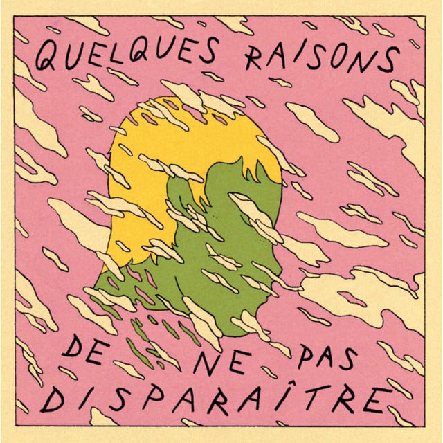 Quelques raisons de ne pas disparaître - Cover