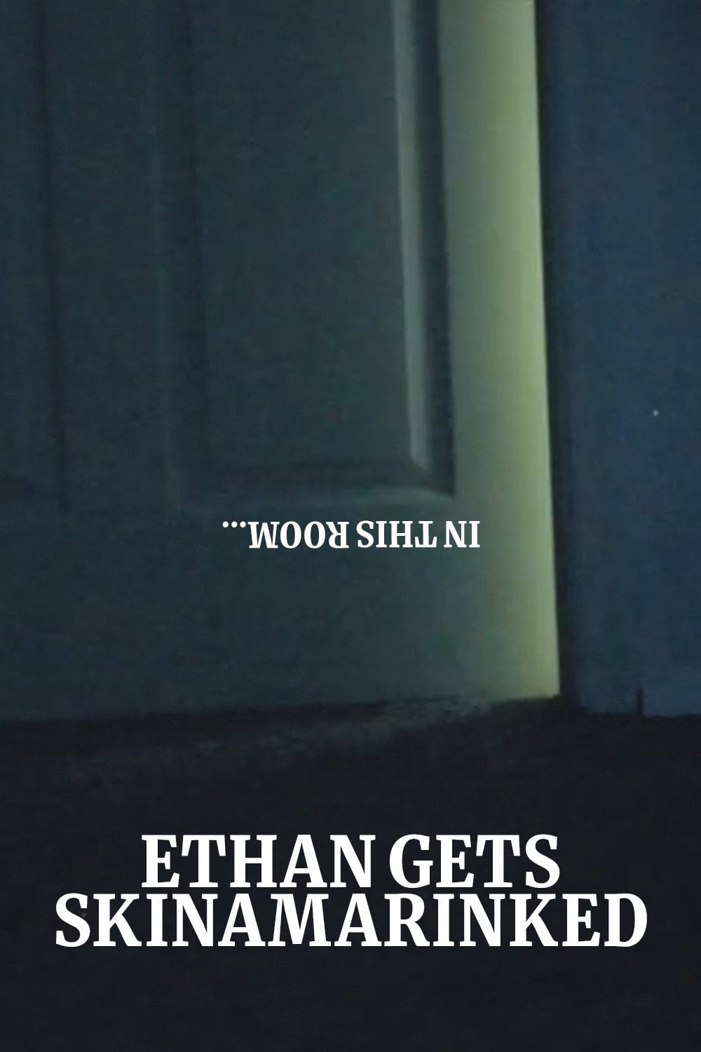 Ethan Gets Skinamarinked - Cover