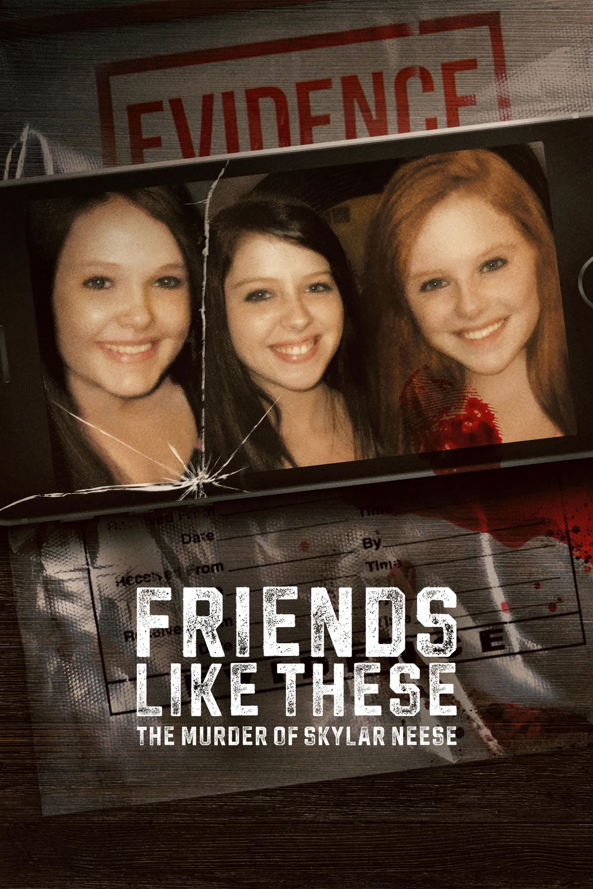 Friends Like These: The Murder of Skylar Neese - Cover