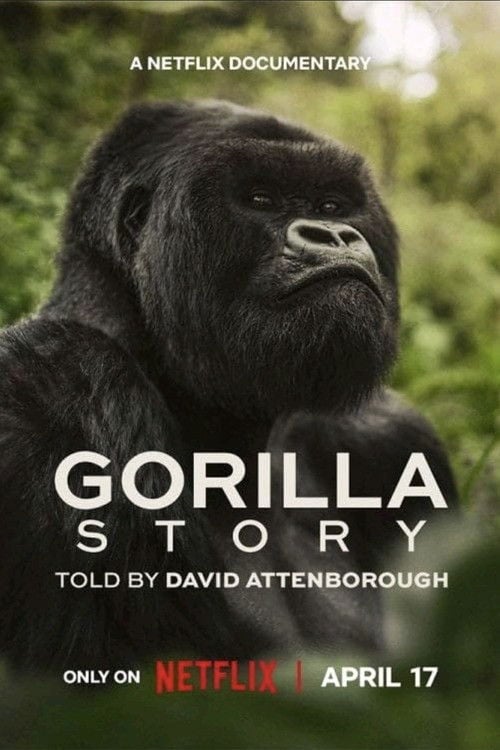 Une histoire de gorilles avec David Attenborough - Cover