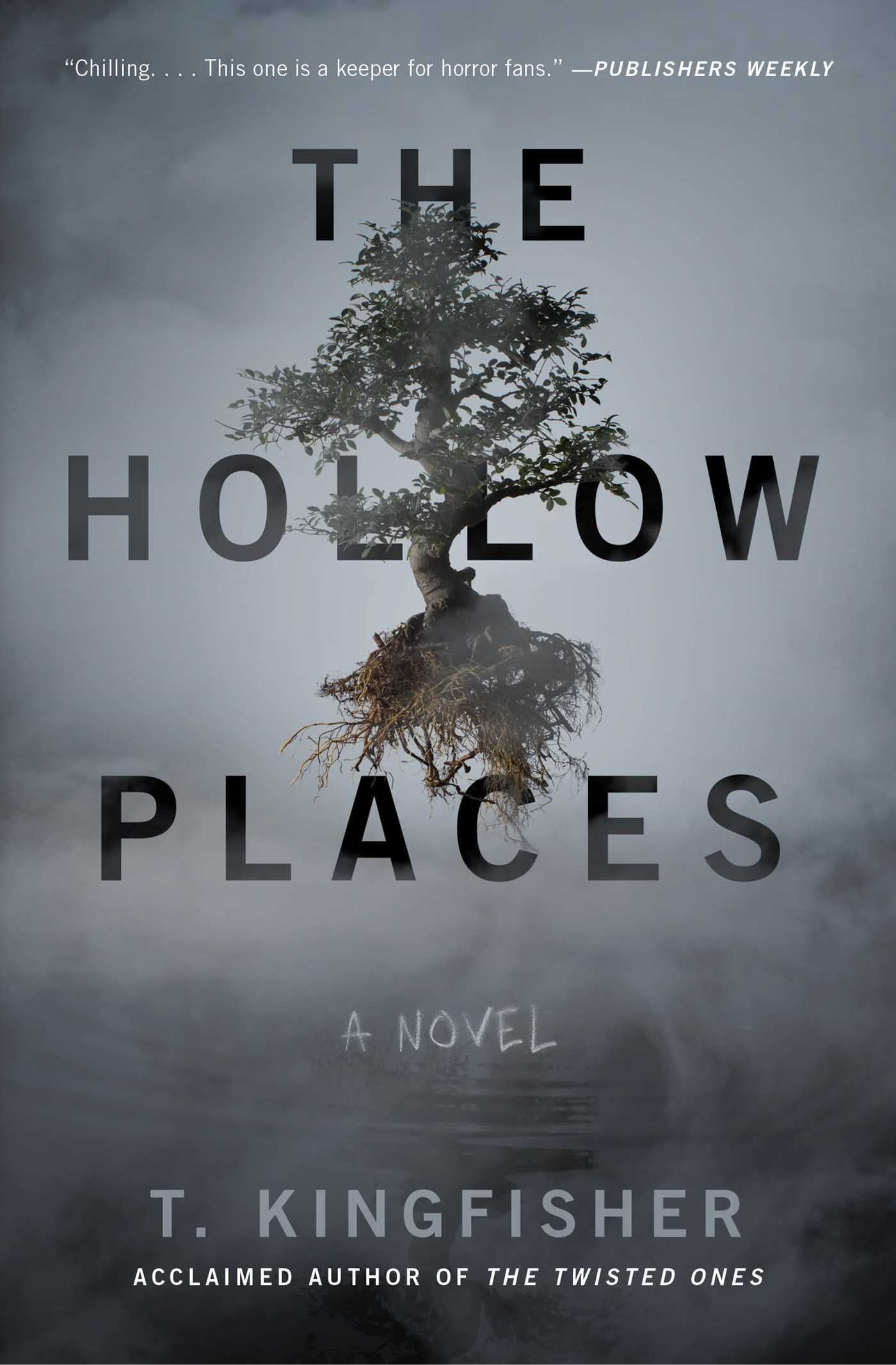 The Hollow Places - Cover