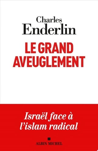 Le Grand Aveuglement (nouvelle édition augmentée) - Cover