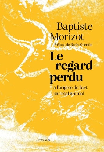 Le regard perdu - Cover