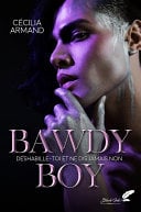 Bawdy boy (dark romance MM) - Cover