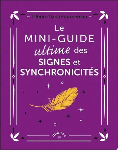 Le Mini-guide ultime des signes et synchronicités - Cover