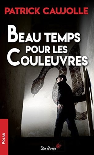 Beau temps pour les couleuvres - Cover