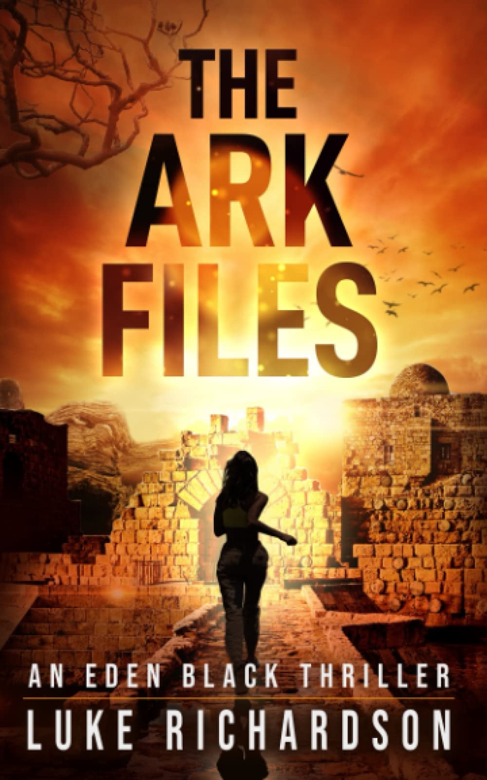 The Ark Files - Cover