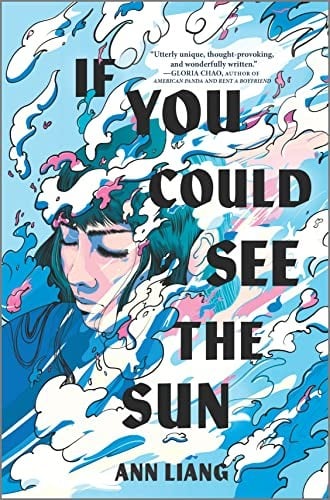 If You Could See the Sun - Cover