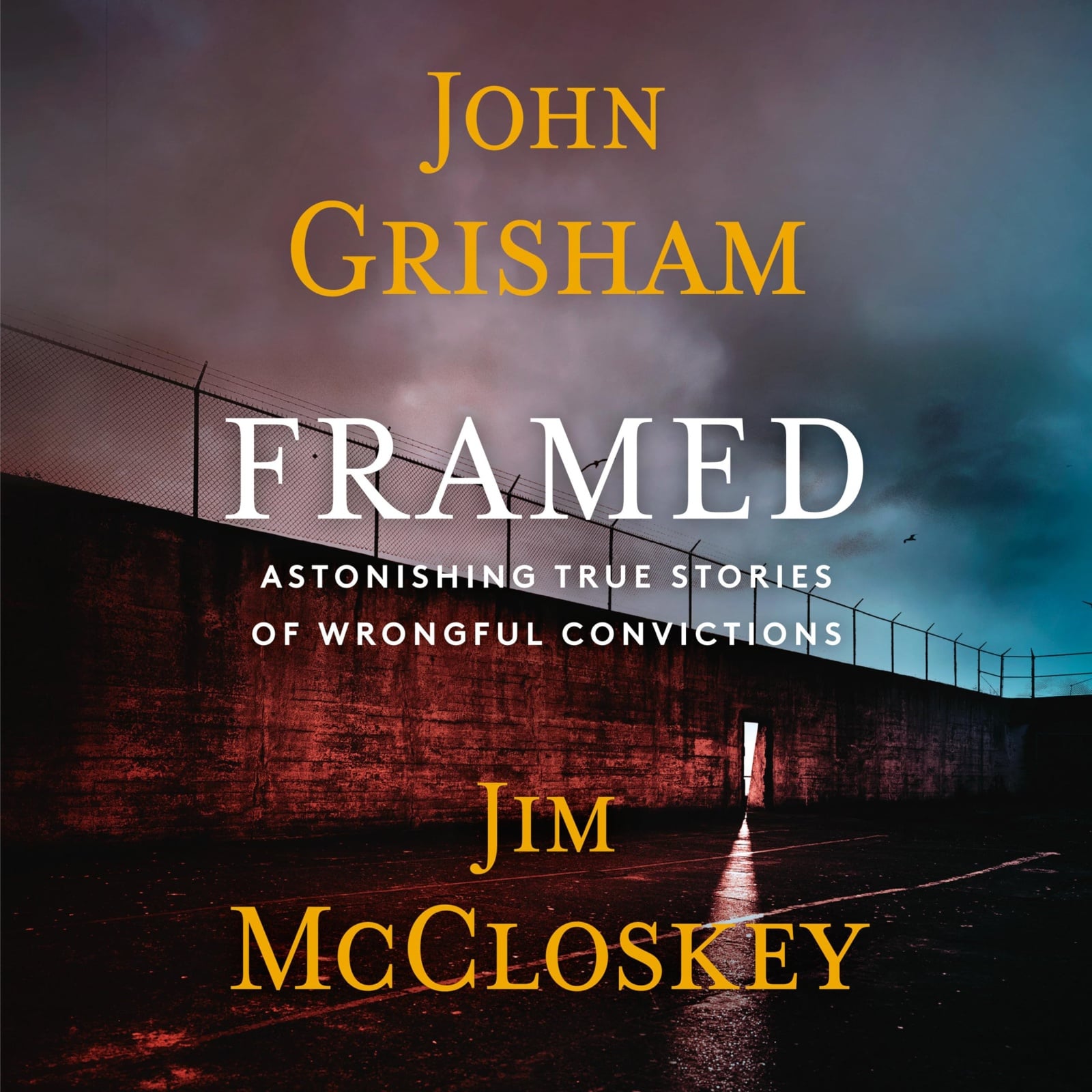 Framed: Astonishing True Stories of Wrongful Convictions - Cover